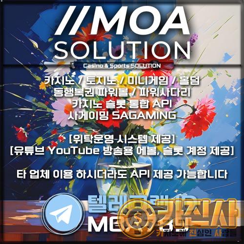 카지노솔루션.jpg