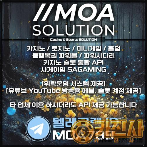 카지노솔루션.jpg