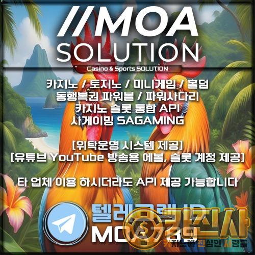 카지노솔루션.jpg