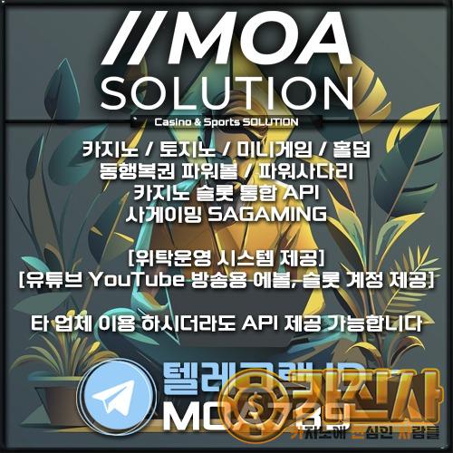 카지노솔루션.jpg