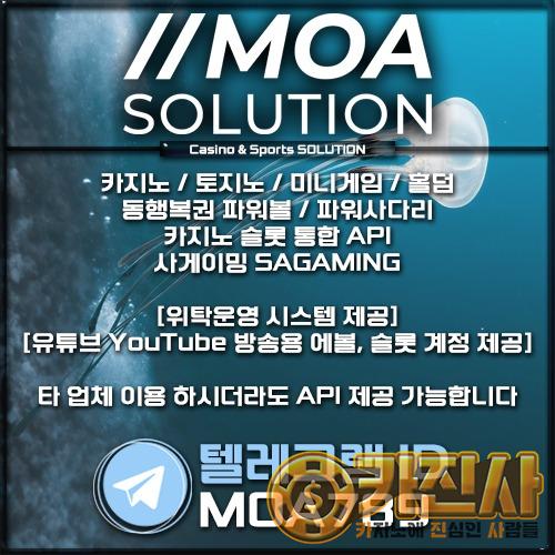 카지노솔루션.jpg