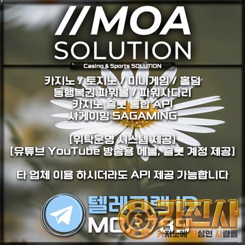 카지노솔루션.jpg