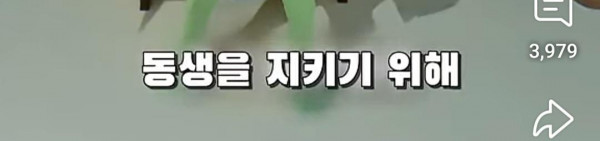 AwhL1757294587_1818110851.jpg 부모님이 비밀로 하던 창고에 여동생을 데려간 오빠